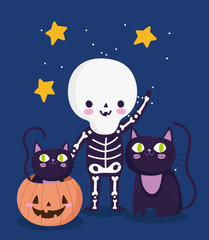 happy halloween, skeleton costume black cats and pumpkin trick or treat party celebration