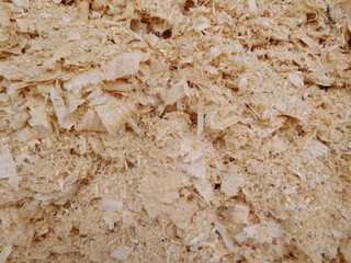 wood sawdust texture closeup background