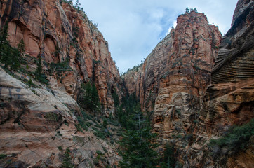Naklejka premium Zion National Park 
