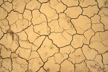 Cracks in the ground.Textured ground drought background.Close up dried soil with green plants. Cracked dry yellow clay earth.Drought lands, global warming effects. natural disaster. Nature texture.