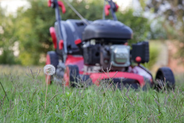 Red lawn mower on the meadow, close up