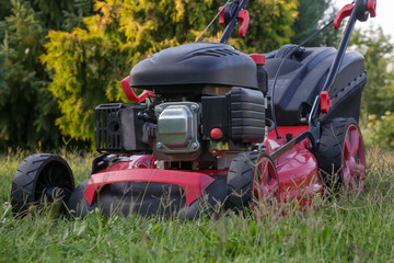 Obraz premium Red lawn mower on the meadow, close up