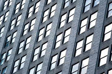 Windows of a building reflecting the light