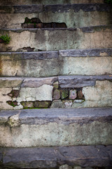 Histric step sign in savannah Georgia use at your own risk.  