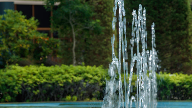 緑を背景に噴きあがる噴水の水
