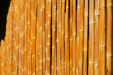 View of a rustic garden bamboo fence