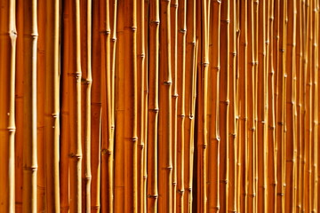 View of a rustic garden bamboo fence