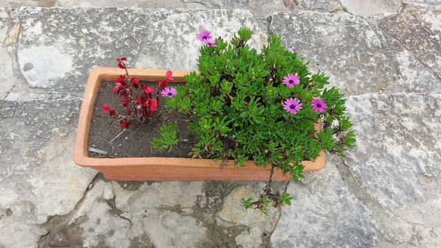 FLOR EN MATERAS  COLOMBIANAS ARTESANALES 