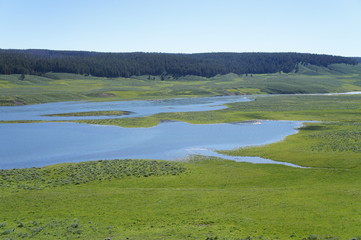 Yellowstone National Park