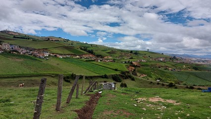NATURALEZA COLOMBIANA