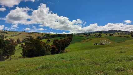 D&Iacute;A DESPEJADO