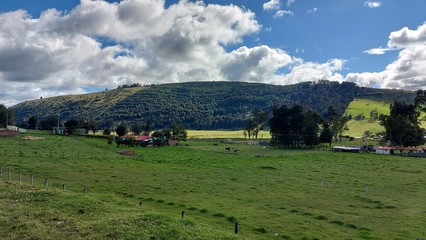 PAISAJES COLOMBIANOS,