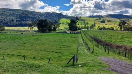 EL CAMPO COLOMBIANO,  LINDO LUGAR
