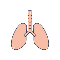 human body concept, lungs organ icon, line fill style