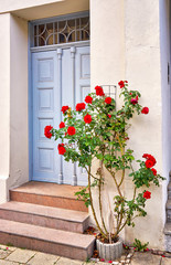 An old wooden front door with red roses.