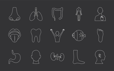 tooth and human body parts icon set, line style