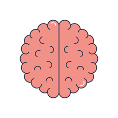 human body concept, brain organ icon, line fill style