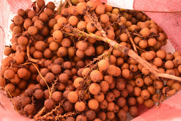 Rattan palm seed, Rattan palm fruits has a yellow shell, soft focus.