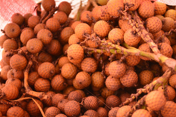Rattan palm seed, Rattan palm fruits has a yellow shell, soft focus.