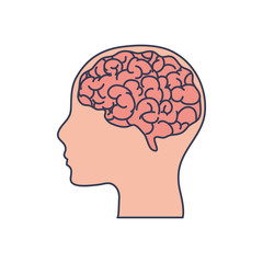human body concept, head and brain icon, line fill style