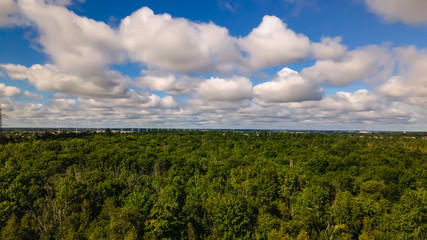Fototapeta premium Aerial panorama of the forest and blue sky