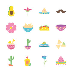 cactus and mexican culture icon set, flat style