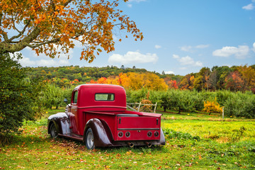 Old antique red farm truck in apple orchard against autumn landscape background. Blue sky on a sunny fall day in New England. - 373020287