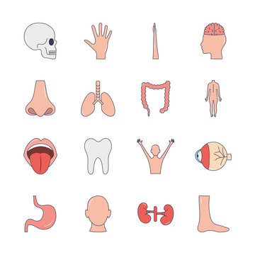 mouth and human body parts icon set, line fill style