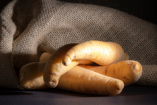 Potato baroa or Mandioquinha (Arracacia xanthorrhiza) on jute backgeound, photographed in studio in Brazil