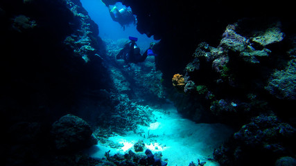 diver swimming through gap in coral reef