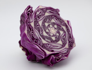 Fototapeta premium Red Cabbage