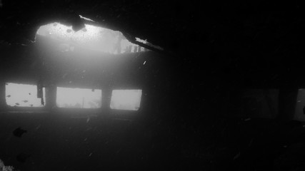 Shipwreck cabin diving