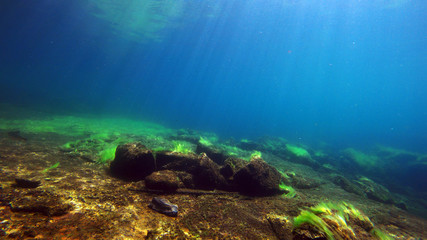 Fototapeta na wymiar Tanaka river underwater