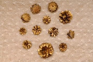 Delicate warm background of pine gilded cones, circle shaped in the centre, on knitted patterned down canvas.