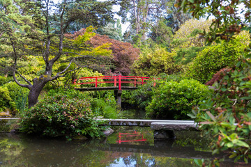 Obraz premium Beautiful Japanese garden