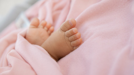 Obraz na płótnie Canvas Newborn baby feet wrapped in pastel pink blanket, infant barefeet on soft background