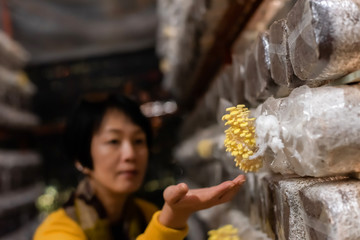 woman travel and visit mushroom farm