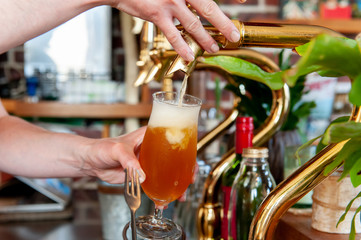 ビールサーバー（ビールタップ）でグラスにビールを注ぐシーン　　 - obrazy, fototapety, plakaty