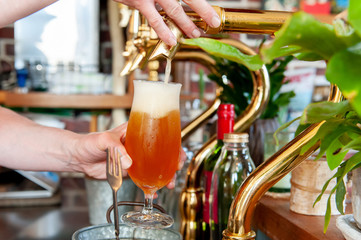 ビールサーバー（ビールタップ）でグラスにビールを注ぐシーン　　