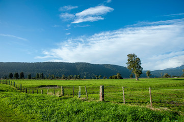 Fototapeta na wymiar ニュージーランド、南島のレイク・マセソンロードからの景色