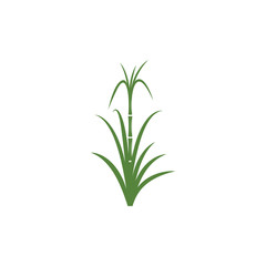 Fototapeta na wymiar Sugar cane Logo Template vector symbol