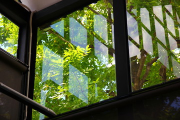 window in the garden with shadow reflection of square windows