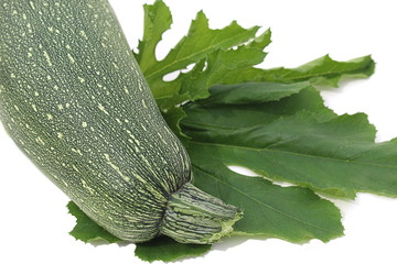 Green vegetable marrow with leaf lies on a white background