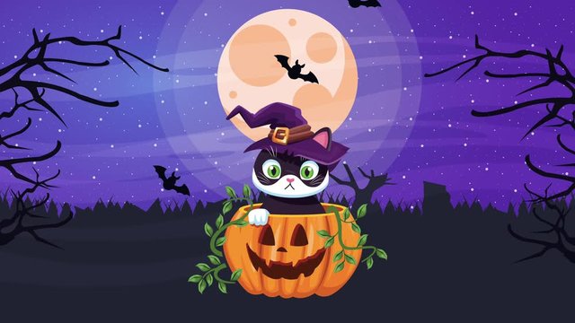 happy halloween animated scene with little cat wearing witch hat in pumpkin
