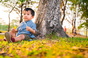 Adorable child boy sitting inder tree playing toy in summer park