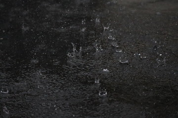 夏の雨
