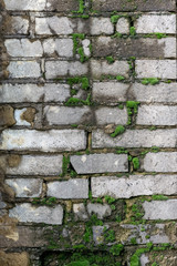 an old brick wall of a residential building overgrown with moss