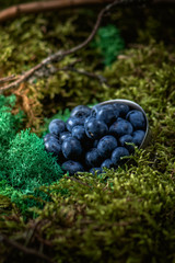 Freshly picked blueberries in wooden bowl