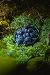 Freshly picked blueberries in wooden bowl
