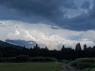 嵐の前